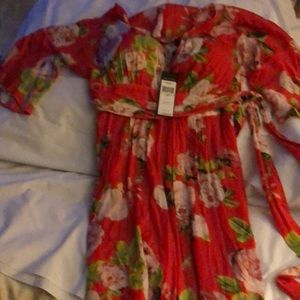 BCBG MAXAZRIA Scarlet-Rose Bloom Maxi